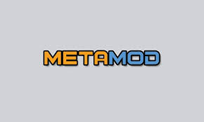 Metamod  plugin/DLL